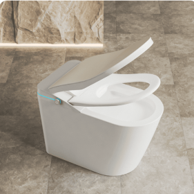 Smart Toilet with Built-in Heated Seat, Tankless Toilet with Auto Flushing, Adjustable Seat Temp, Flush Remote Control LED Digital Display, Elongated