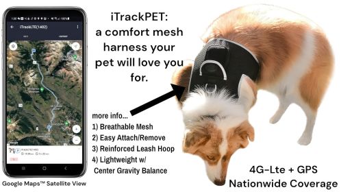 GPRS GSM Portable Dog GPS Tracking System Waterproof Mini Pet Tracker Size:M